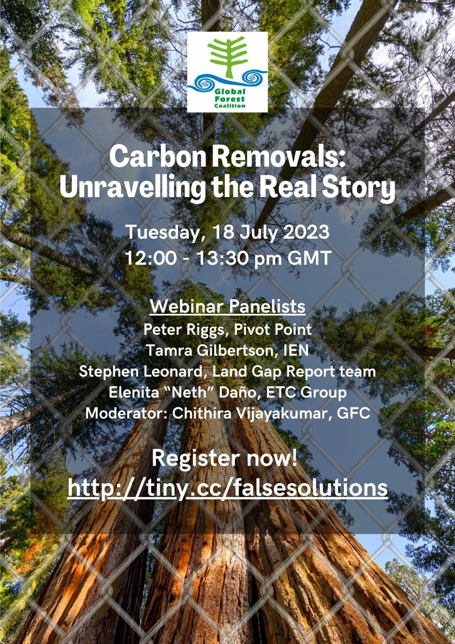 Global Forest Coalition Webinar on Carbon Removals: Unravelling